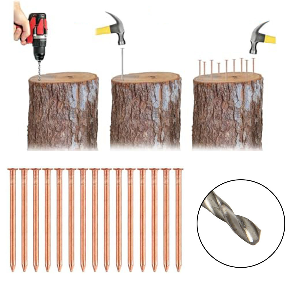 Gardening Tools Target - Paku Tembaga Padat 2-Inci Untuk Tunggul