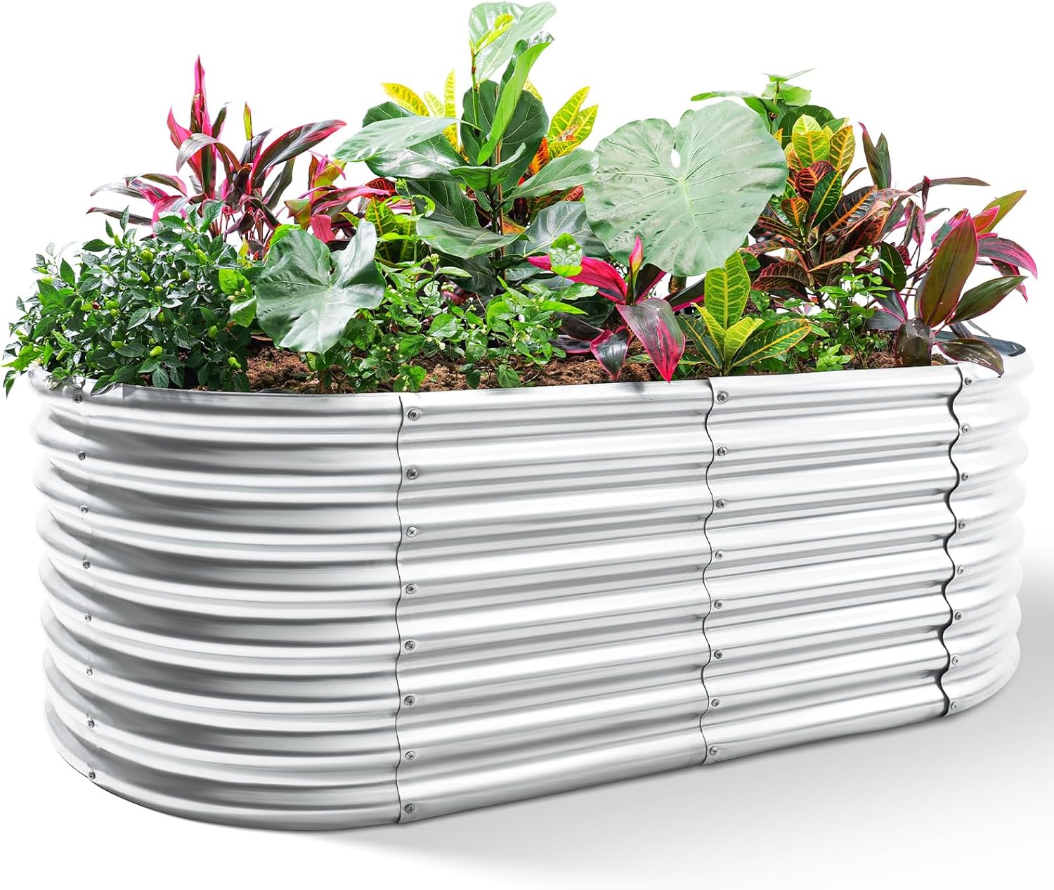 Raised Bed Planter Box - Kotak Tanam Galvanis, Ukuran 8x4x2ft, Kotak