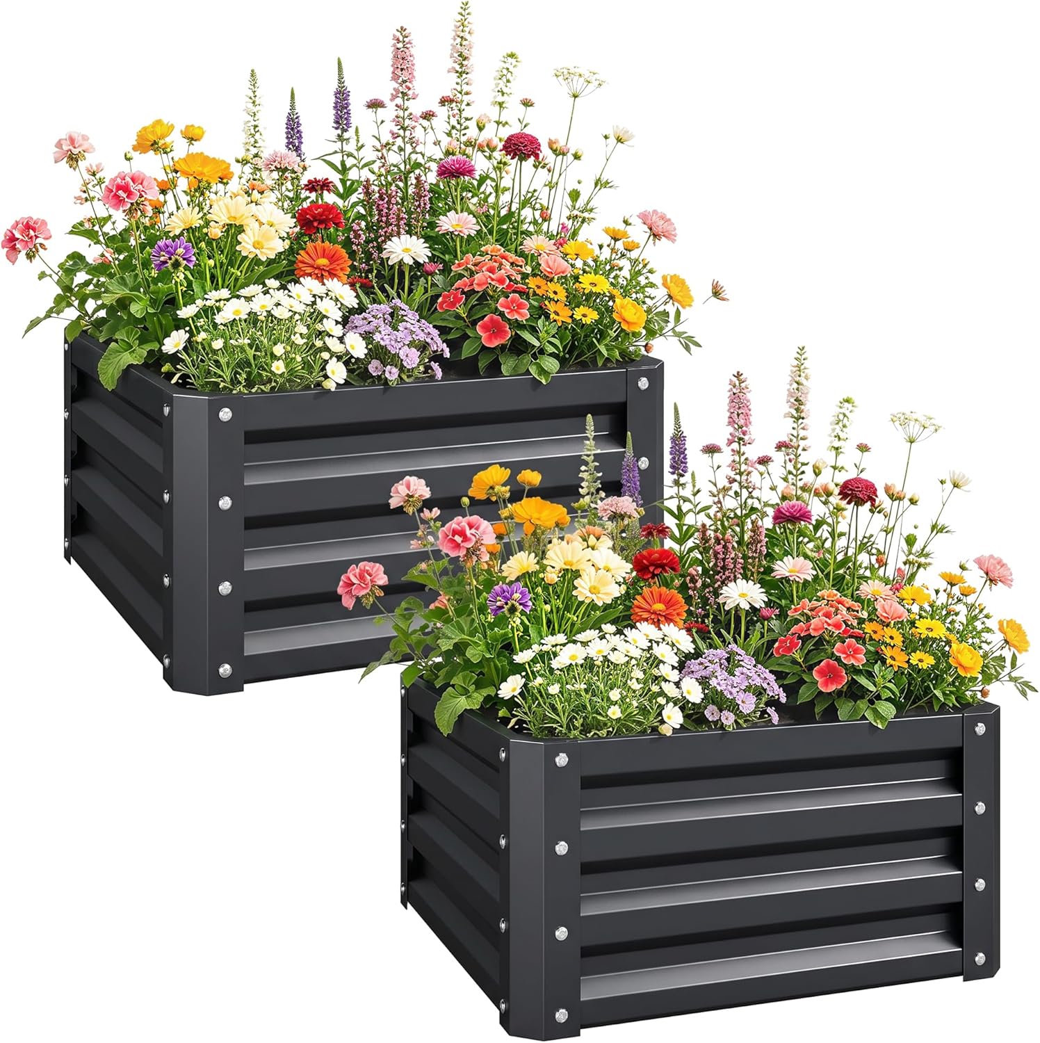 Raised Bed Planter Box - 2 Buah Kotak Tanam Galvanis, 2'
