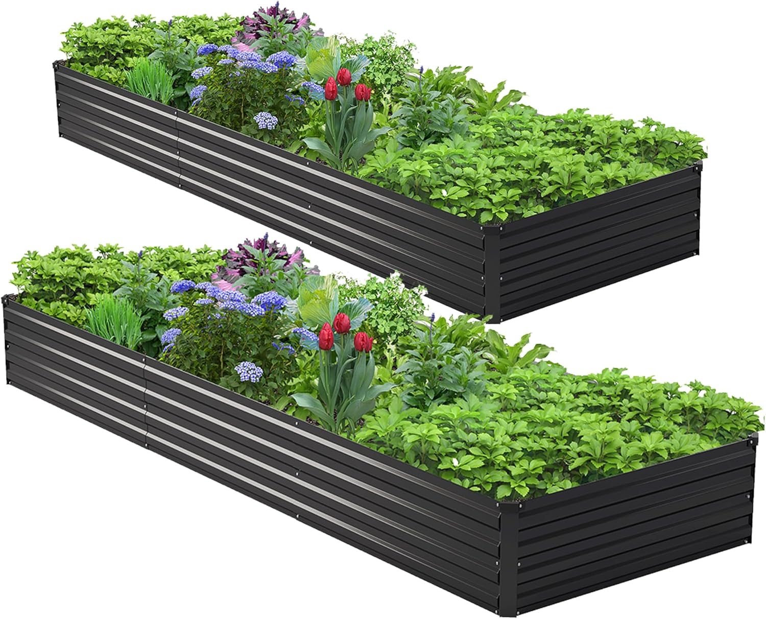 Raised Bed Planter Box - 2PCS 10x3x1ft Kit Tempat Tanam Terangkat