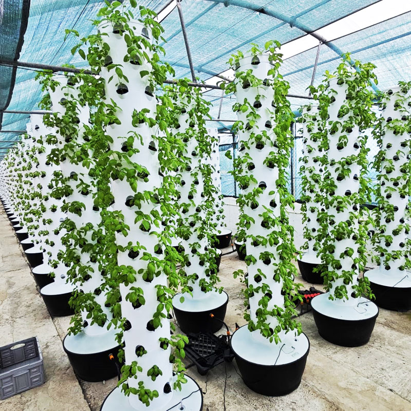Hydroponic System - Sistem Menanam Hidroponik Vertikal Kecil Berkualitas
