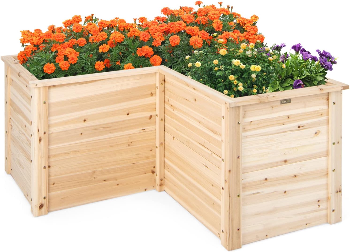 Raised Bed Planter Box - Kotak Tanam Kayu Terangkat, 47.5