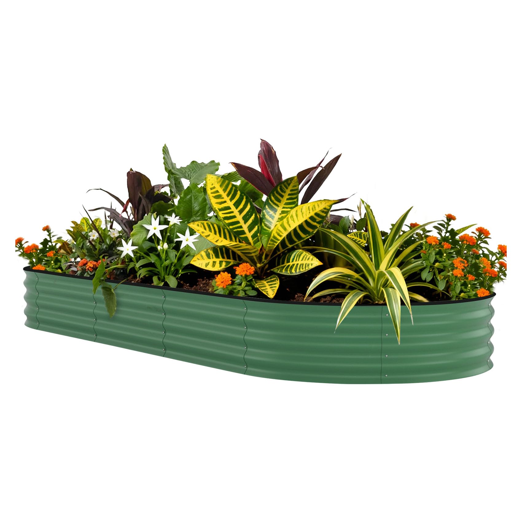 Raised Bed Planter Box - Kotak Tanam Terangkat Galvanis 8x4x1.5 kaki