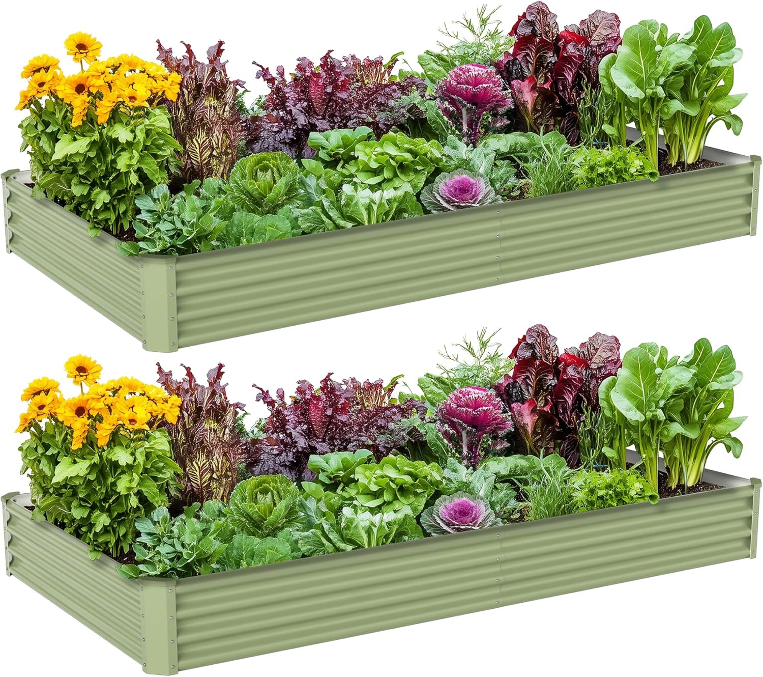 Raised Bed Planter Box - Kotak Tanam Sayuran Luar Ruangan dari