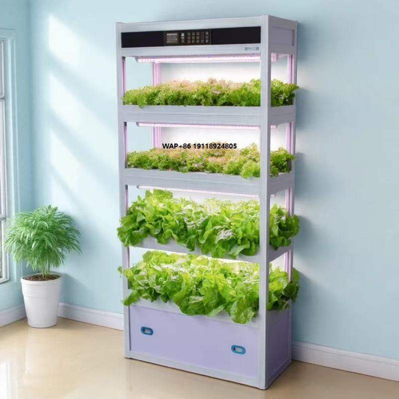 Sistem Rangka Peralatan Penana - Hydroponic System ulasan dan harga
