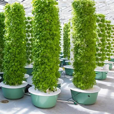 Sistem Kebun Menara Aeroponik  - Hydroponic System ulasan dan harga