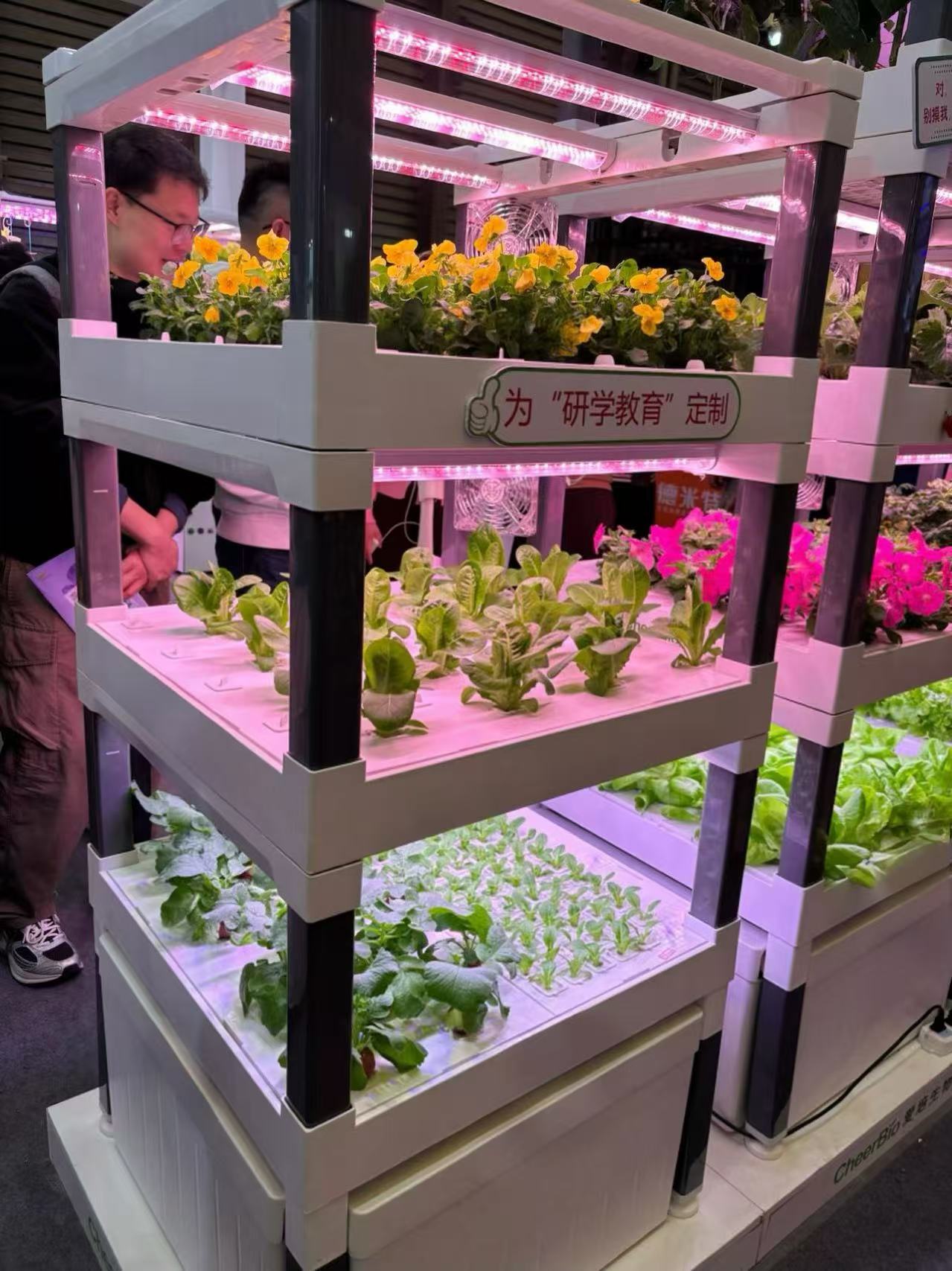 Sistem Penyiraman Otomatis Ver - Hydroponic System ulasan dan harga