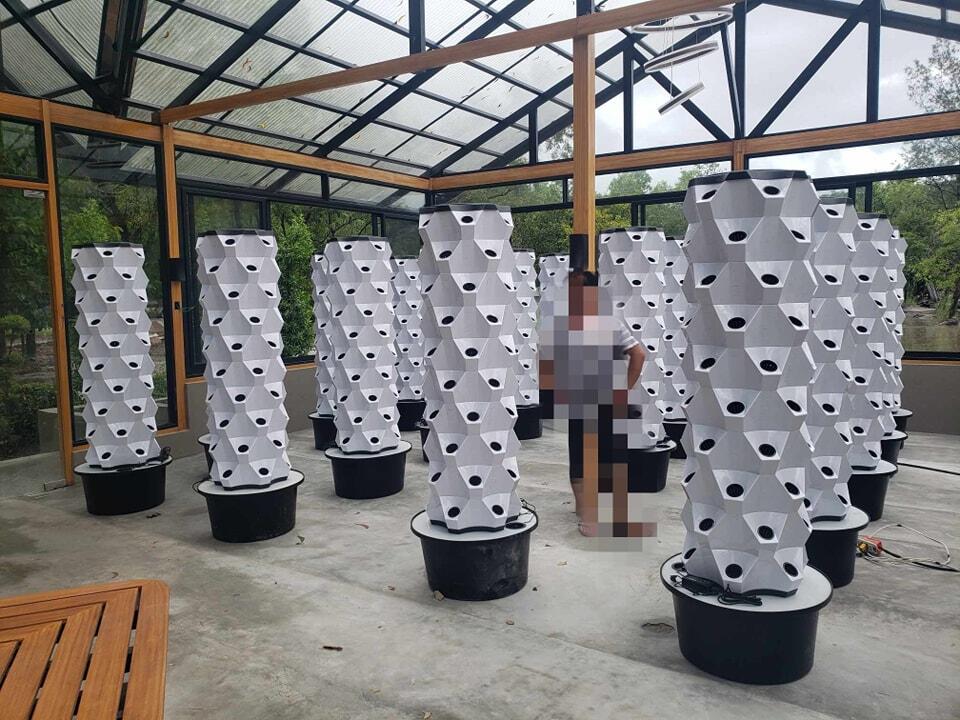 Sistem Hidroponik Vertikal unt - Hydroponic System ulasan dan harga