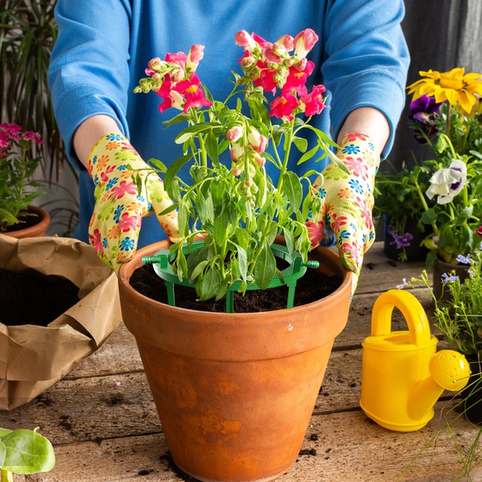 Cincin Penyiraman Tanaman, Cin - Gardening Tools Target ulasan dan harga