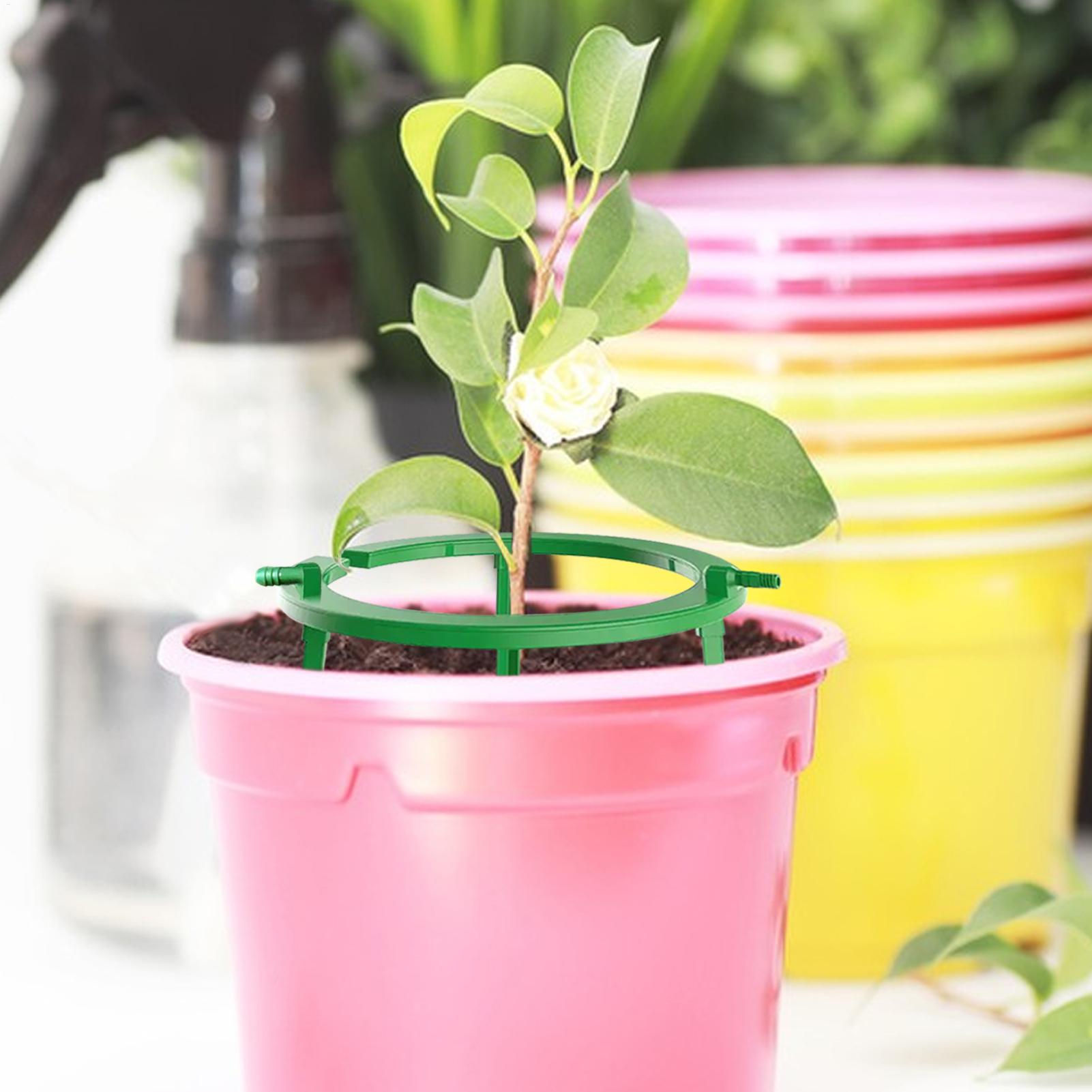 Cincin Penyiraman Tanaman, Cin - Gardening Tools Target ulasan dan harga