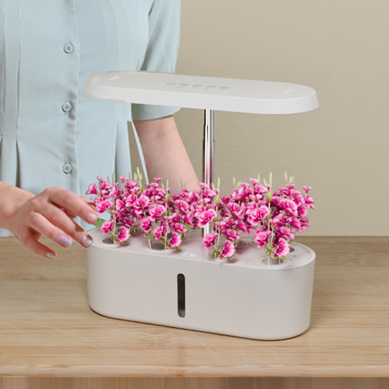 Sistem Penanam Sayuran Hidropo - Hydroponic System ulasan dan harga