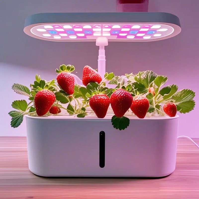 Sistem Penanam Sayuran Hidropo - Hydroponic System ulasan dan harga
