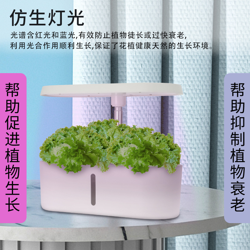 Sistem Penanam Sayuran Hidropo - Hydroponic System ulasan dan harga