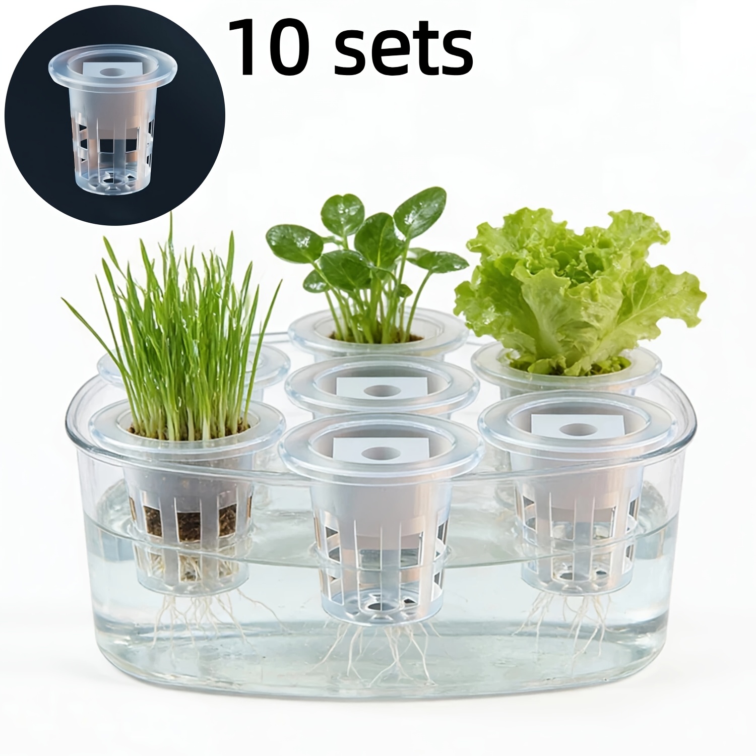 10 Buah Keranjang Bibit Hidrop - Hydroponic System ulasan dan harga