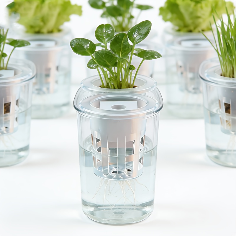 10 Buah Keranjang Bibit Hidrop - Hydroponic System ulasan dan harga