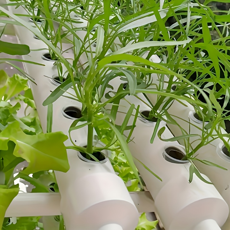 10 Buah Keranjang Bibit Hidrop - Hydroponic System ulasan dan harga