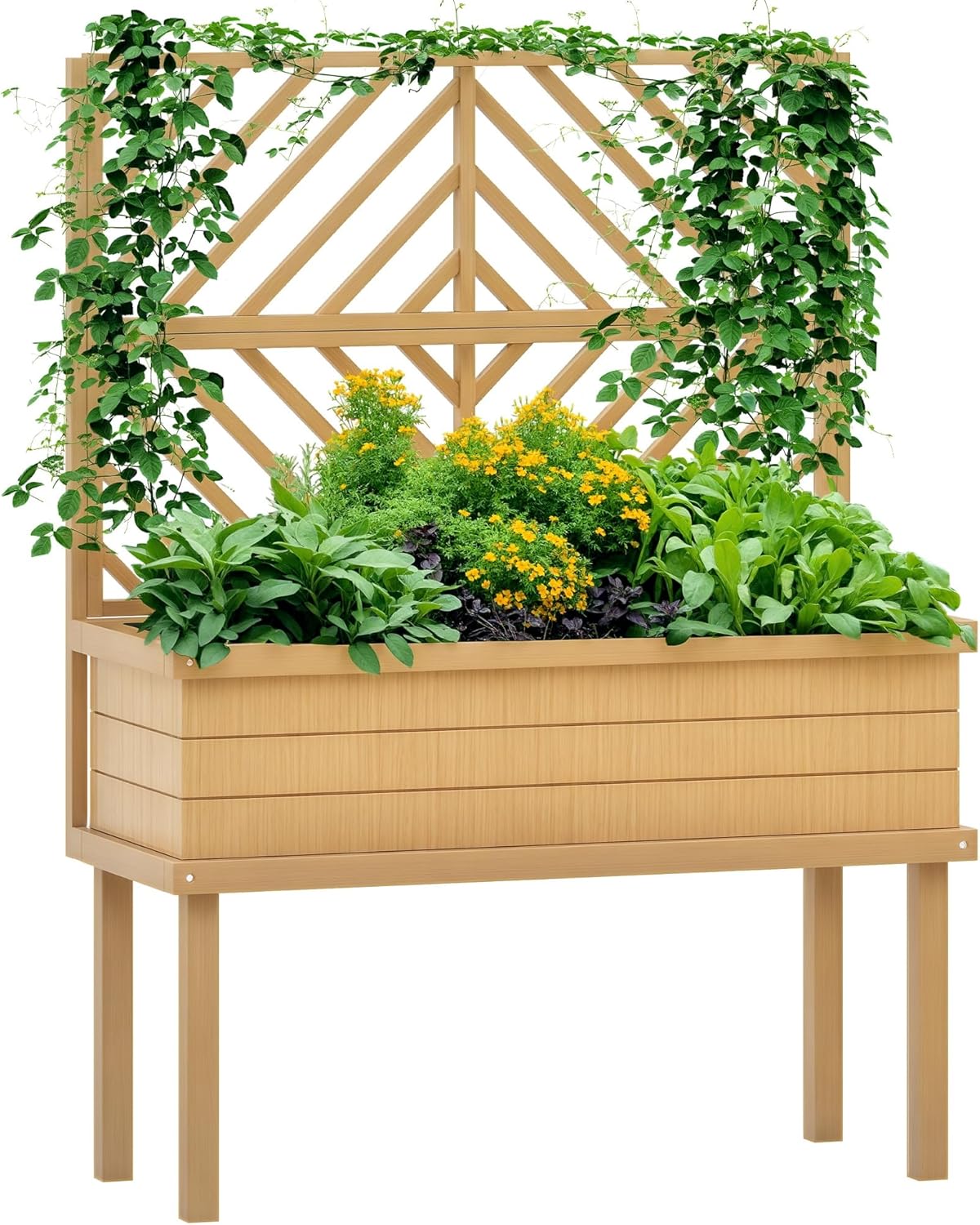 Kotak Tanam Terangkat dengan T - Raised Bed Planter Box ulasan dan harga