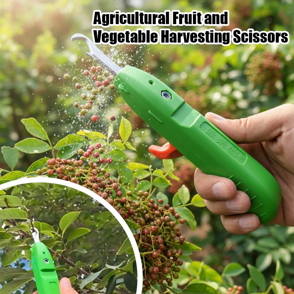 Gunting Pemetik Buah dan Sayur - Gardening Tools Combo ulasan dan harga
