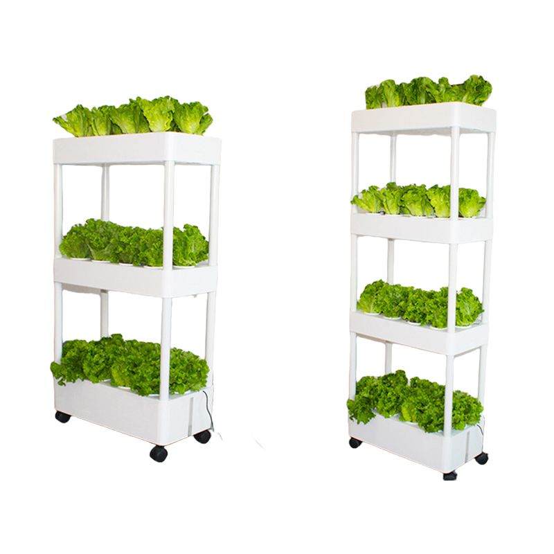 Penanaman Kebun Rumah dengan S - Hydroponic System ulasan dan harga