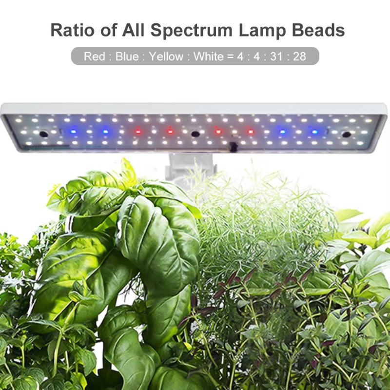 Sistem Penanaman Hidroponik Pi - Hydroponic System ulasan dan harga