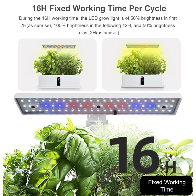 Sistem Penanaman Hidroponik Pi - Hydroponic System ulasan dan harga
