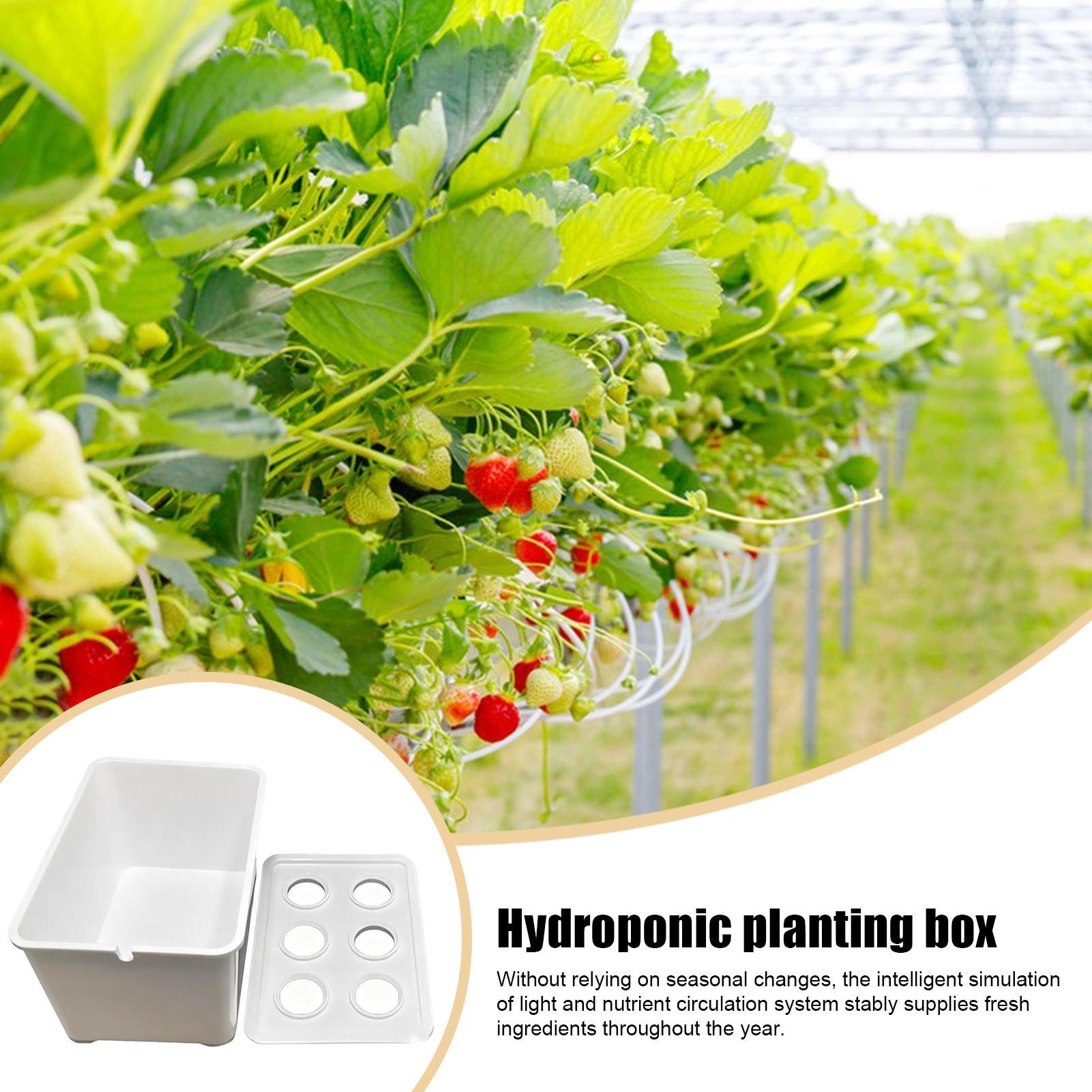 Perlengkapan Penanaman Hidropo - Hydroponic System ulasan dan harga