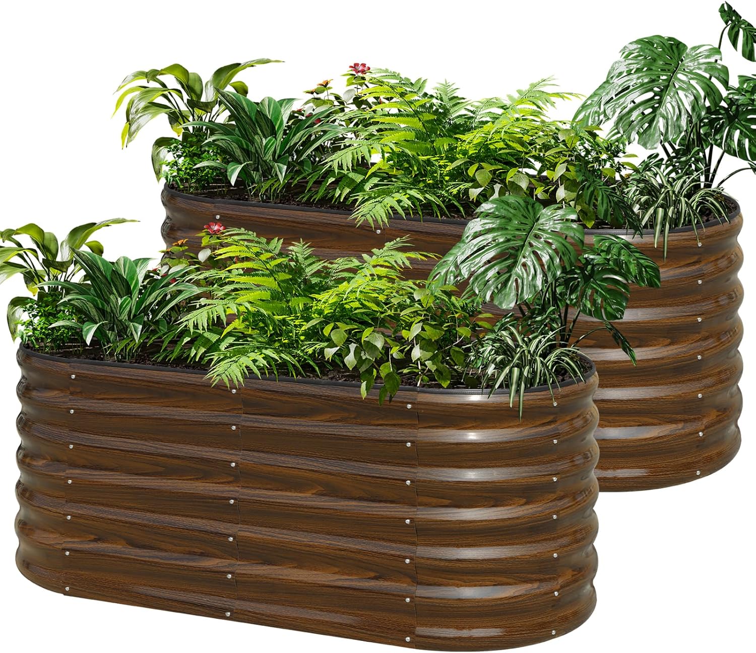 Kit Tempat Tanam Terangkat dar - Raised Bed Planter Box ulasan dan harga