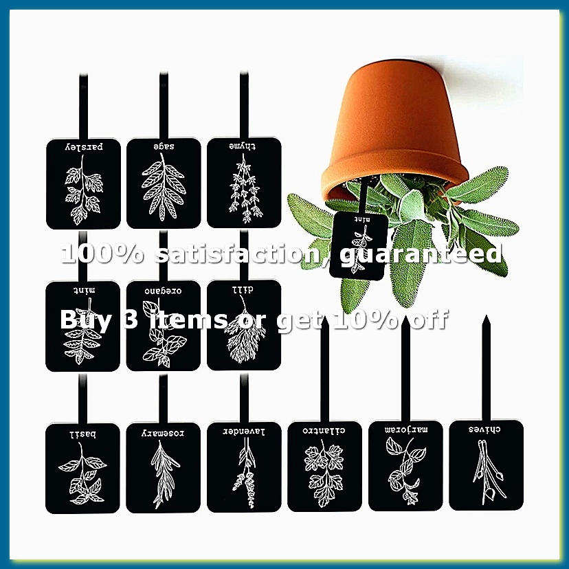 24 Buah Label Tanaman Akrilik  - Gardening Tools With Names ulasan dan harga