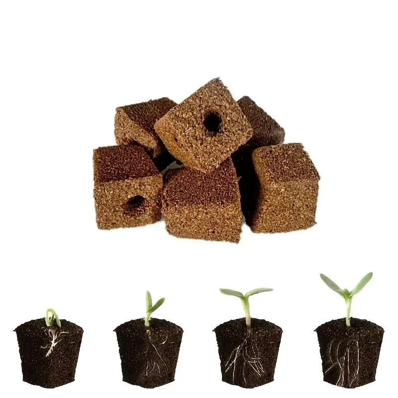 Kit Spons Pemula Bibit untuk S - Hydroponic System ulasan dan harga