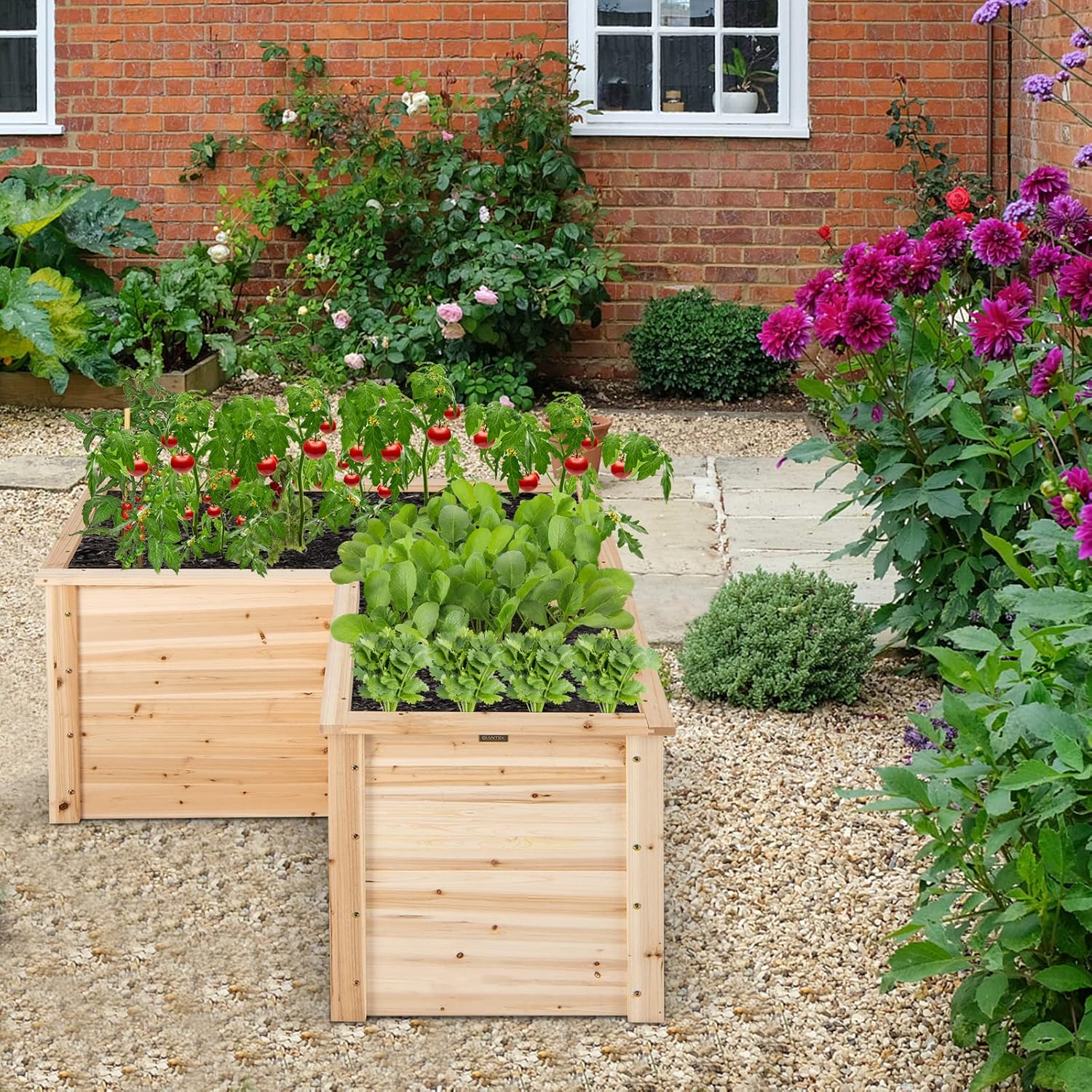 Kotak Tanam Kayu Terangkat, 47 - Raised Bed Planter Box ulasan dan harga