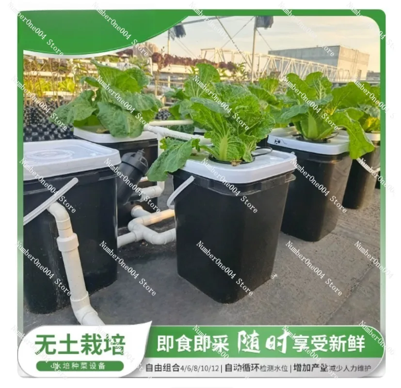 Kit Hidroponik Balkon Rumah RD - Hydroponic System ulasan dan harga