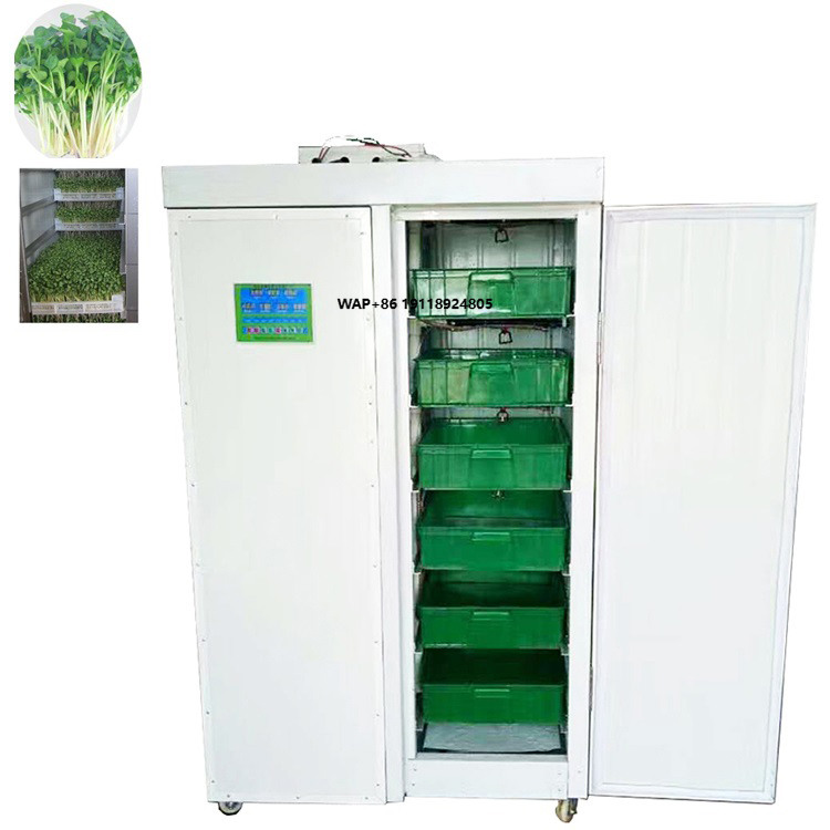 Sistem Penanaman Bawang Putih  - Hydroponic System ulasan dan harga