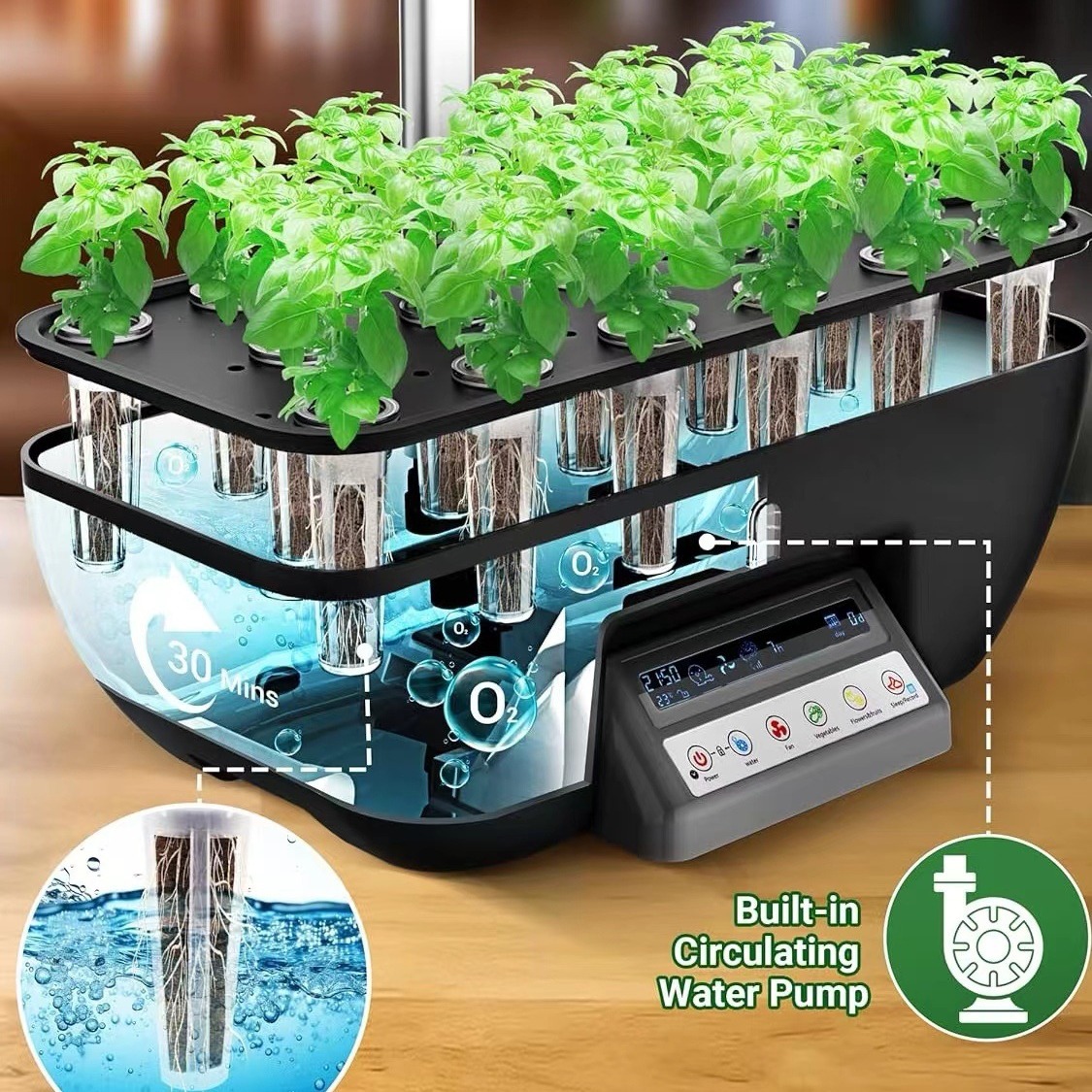 Sistem Penanaman Multi-fungsi  - Hydroponic System ulasan dan harga