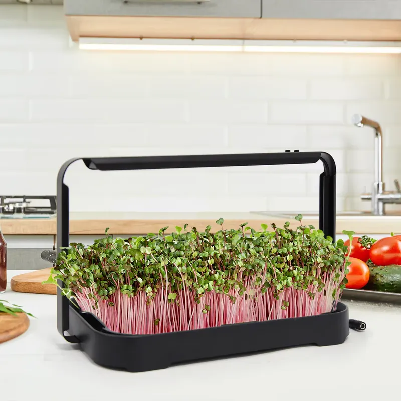 Baki Hidroponik untuk Tanaman  - Hydroponic System ulasan dan harga