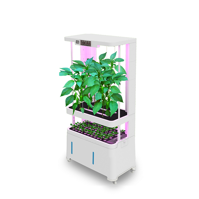 Peralatan Hidroponik Cerdas Be - Hydroponic System ulasan dan harga