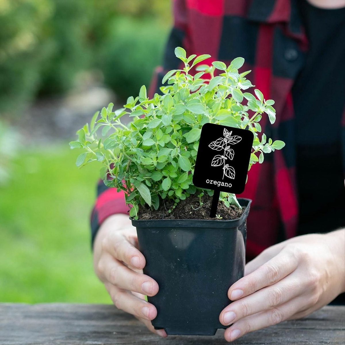 AA14 24 Buah Label Tanaman Akr - Gardening Tools With Names ulasan dan harga